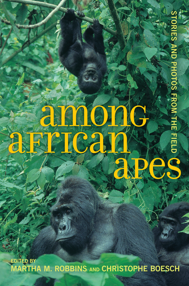 Among African Apes By Martha Robbins Christophe Boesch Hardcover Among African Apes By Martha Robbins Christophe Boesch Hardcover