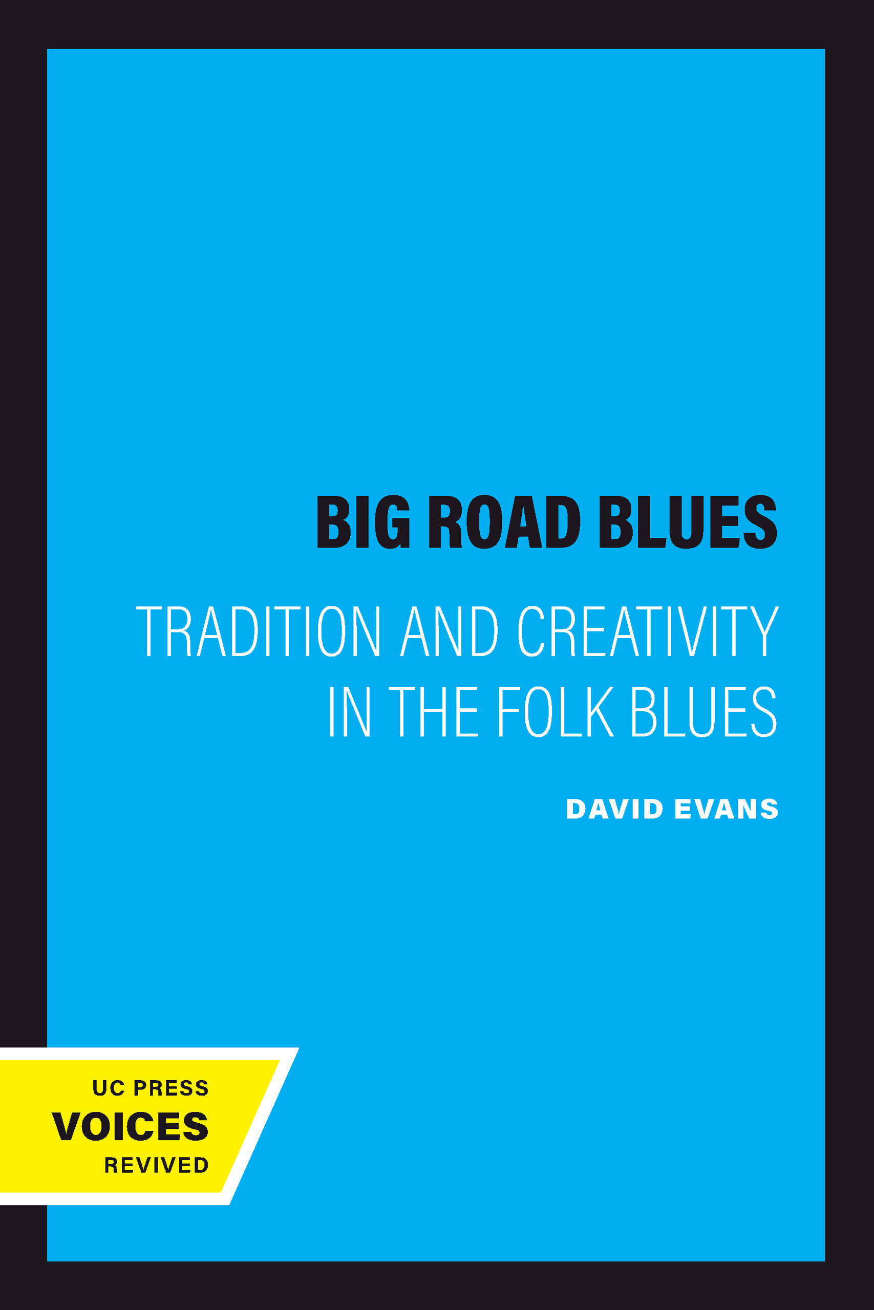 Big Road Blues by David Evans - ePub + PDF - University of